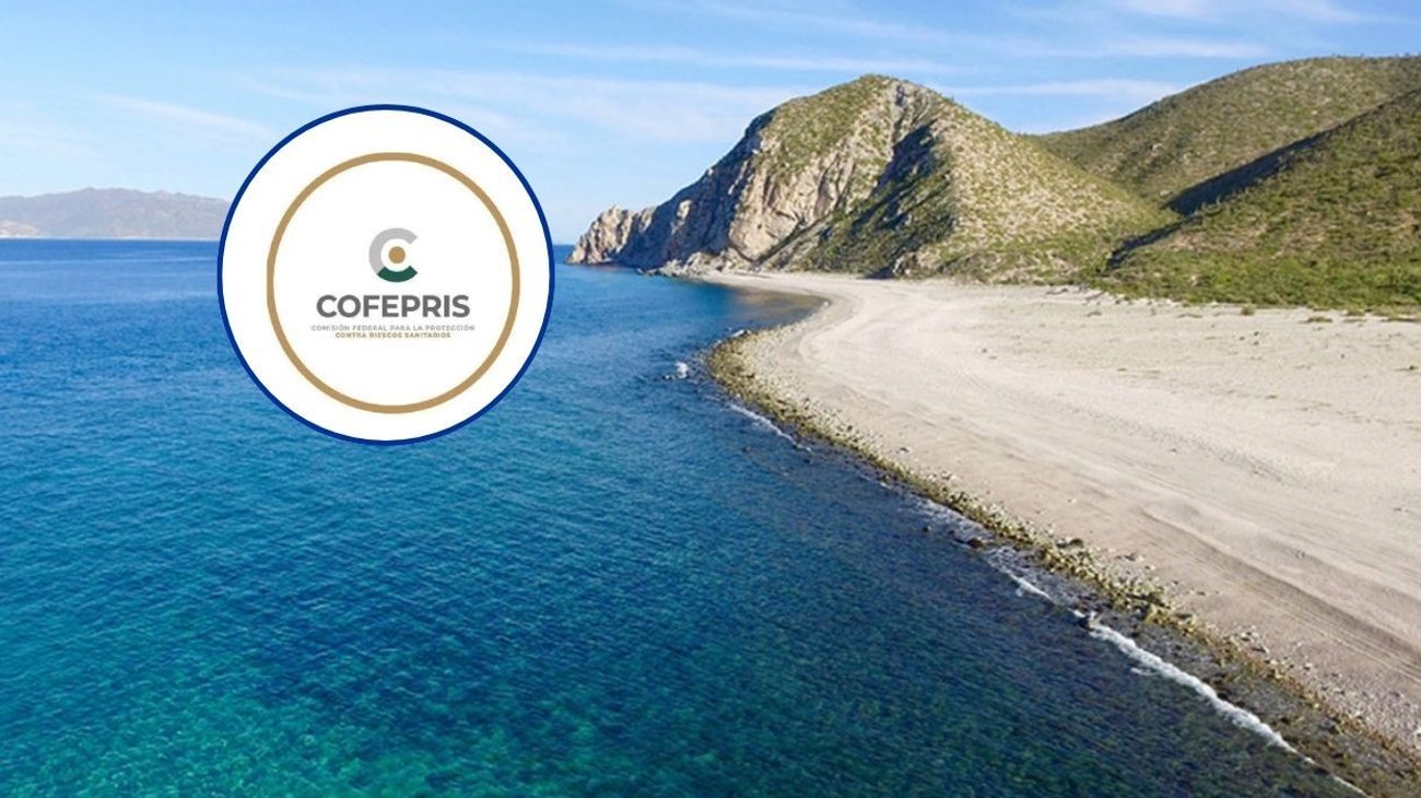 Cofepris detecta cinco playas con altos niveles de bacterias