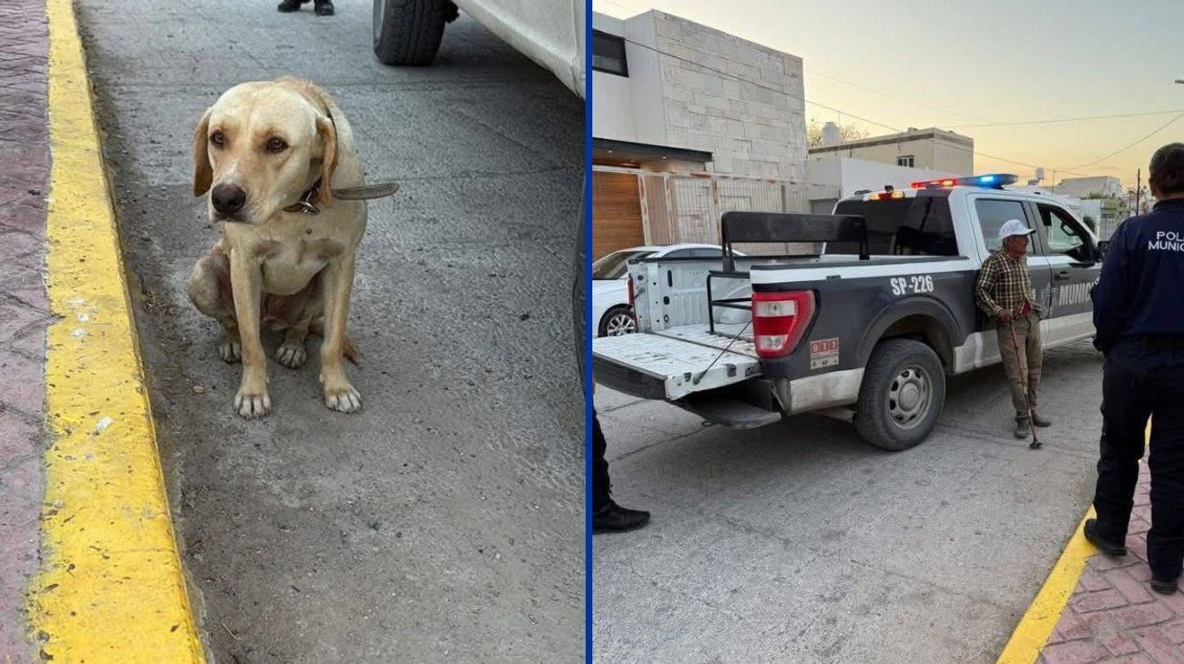 Detienen a hombre por agresión a perrita en Monclova