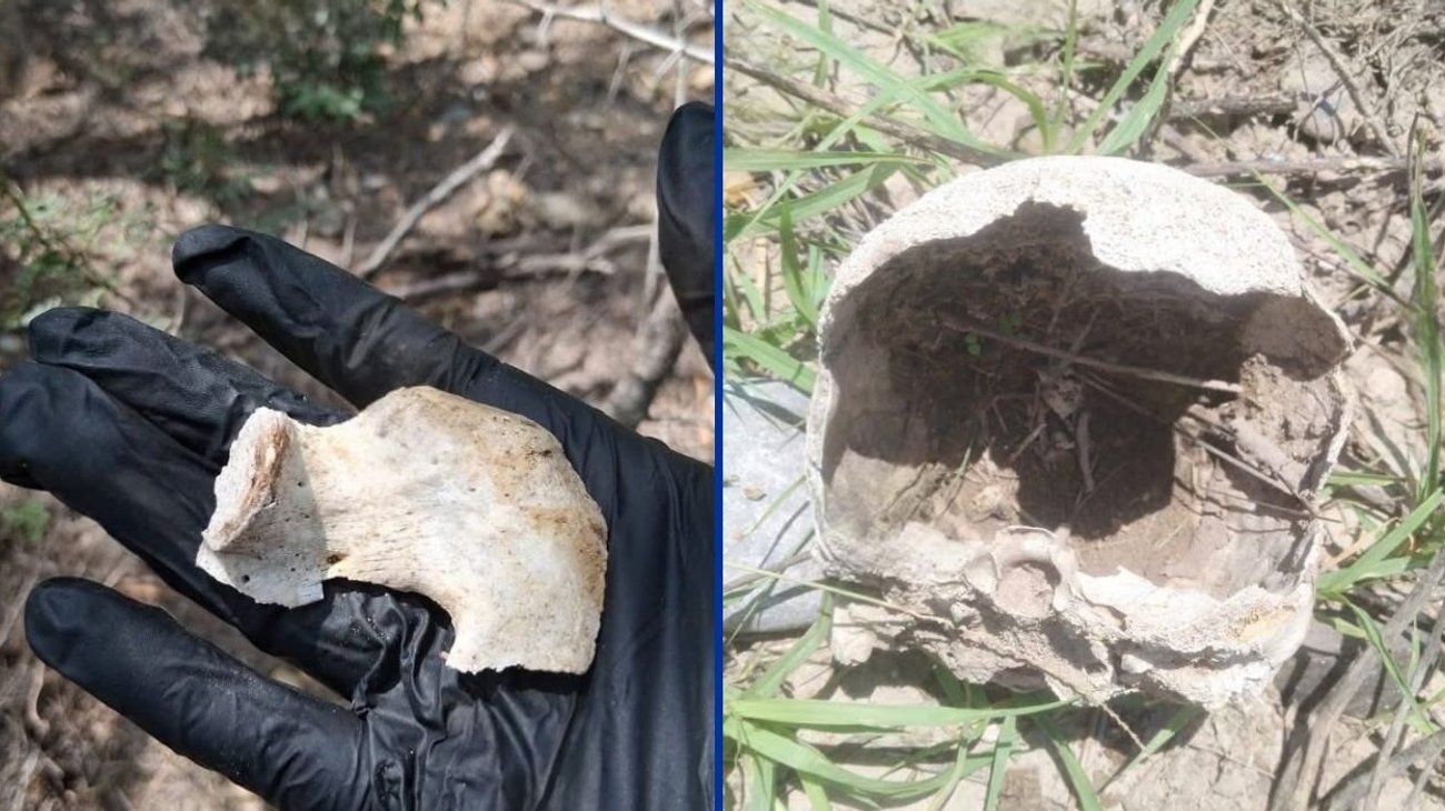 Hallan cráneo y restos óseos en ejido de Reynosa