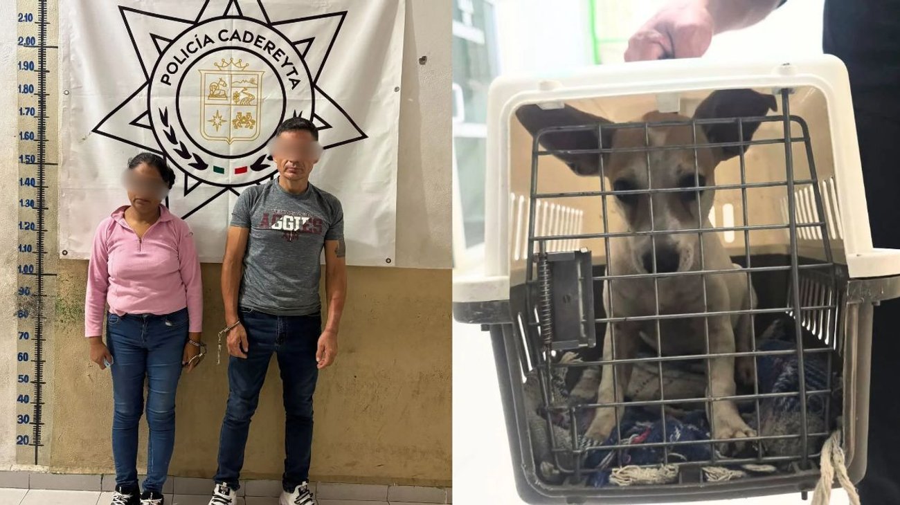 Detienen a dos presuntos agresores de una perrita en Cadereyta