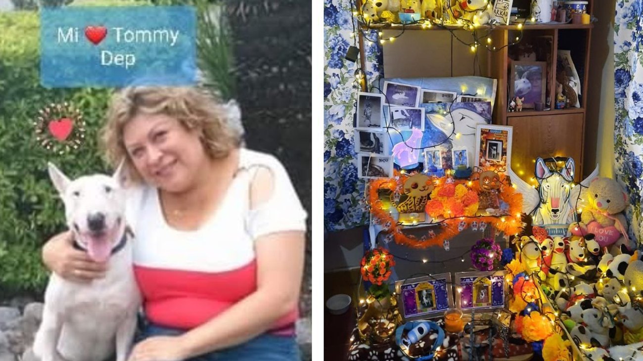 'Perrhijos': cuidados, efectos en la salud y el duelo