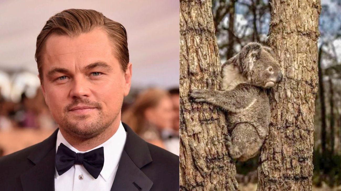 DiCaprio y Bezos destinan 200 mdd para salvar 100 especies