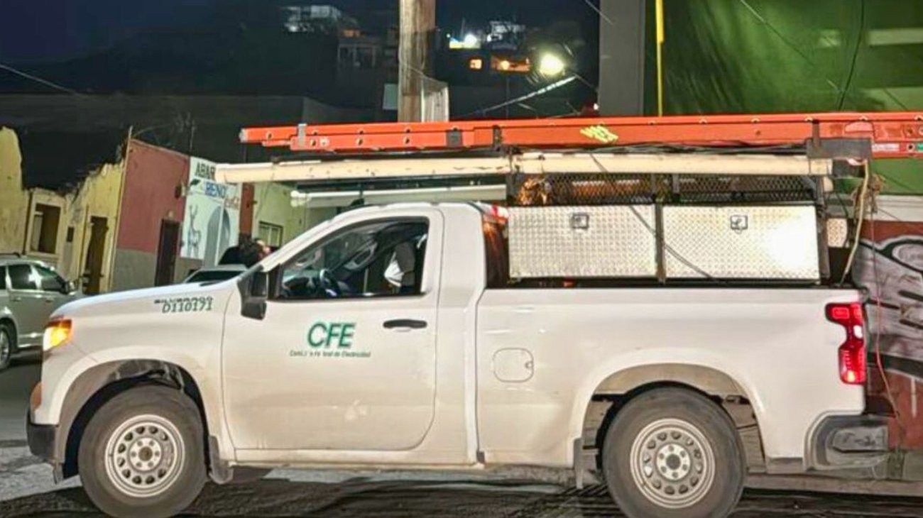 Gato muere electrocutado y deja sin luz clínica No. 1 en Saltillo