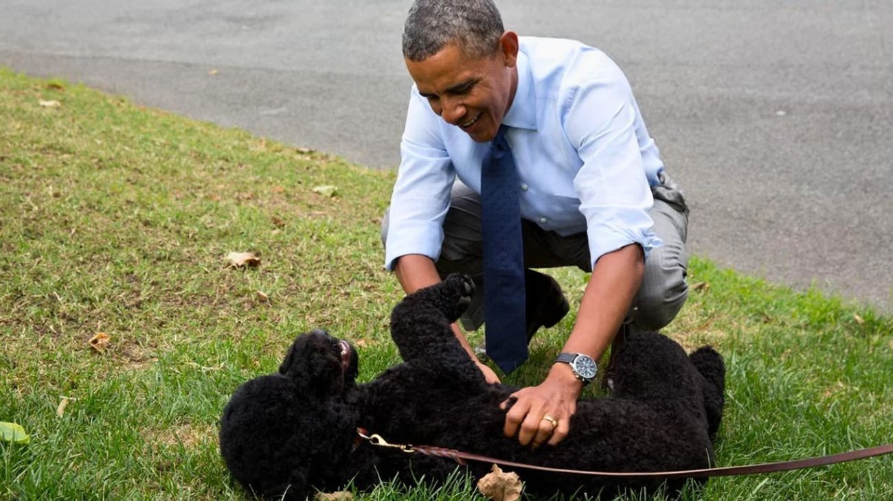 Obama anuncia muerte de su perra Sunny, tras 13 años en familia