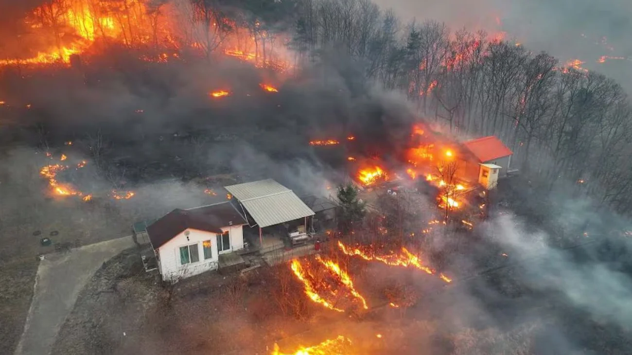 Registran 26 muertos por incendios forestales en Corea del Sur