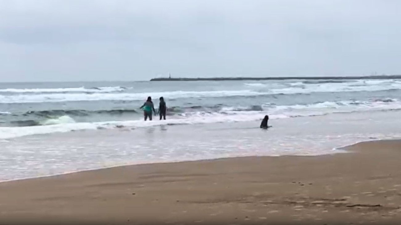 Refuerzan medidas de rescate en Miramar tras incidente turístico
