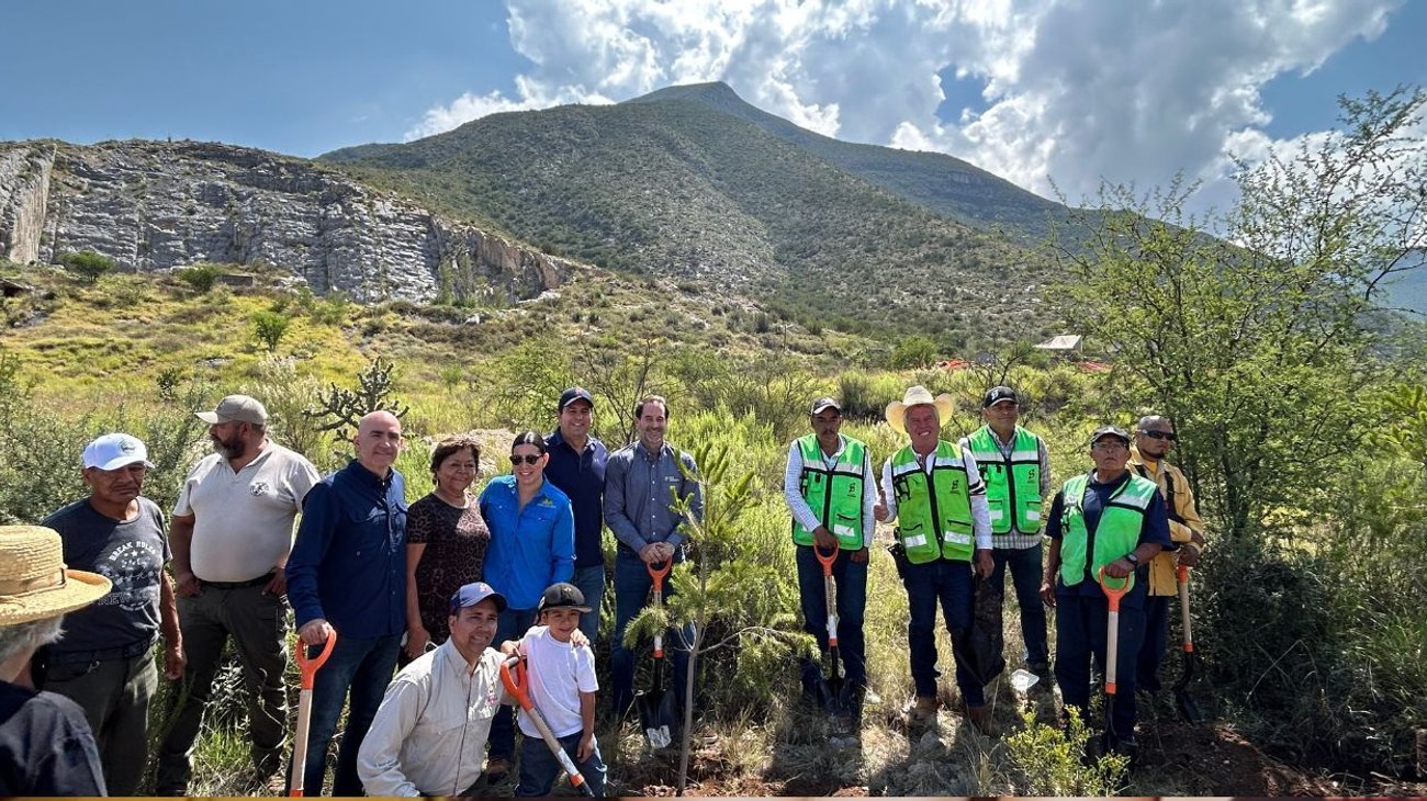 Plantarán 5 mil pinos para recuperar Cañón de San Lorenzo