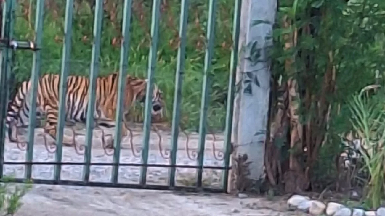 INFO_7_UNA_FOTO_1_ecf1a30b60