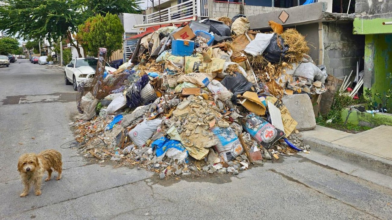 Vecinos denuncian foco de insalubridad en colonia Croc, Guadalupe