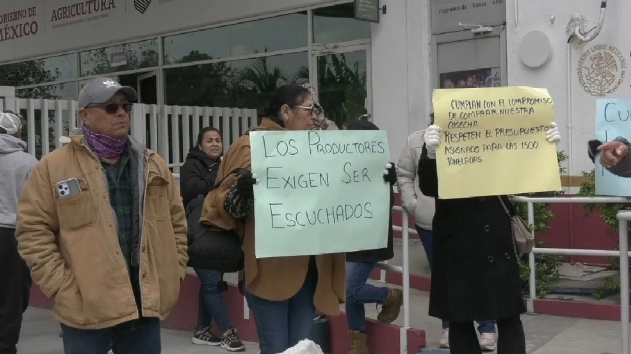 Productores de frijol de Abasolo registran pérdidas millonarias