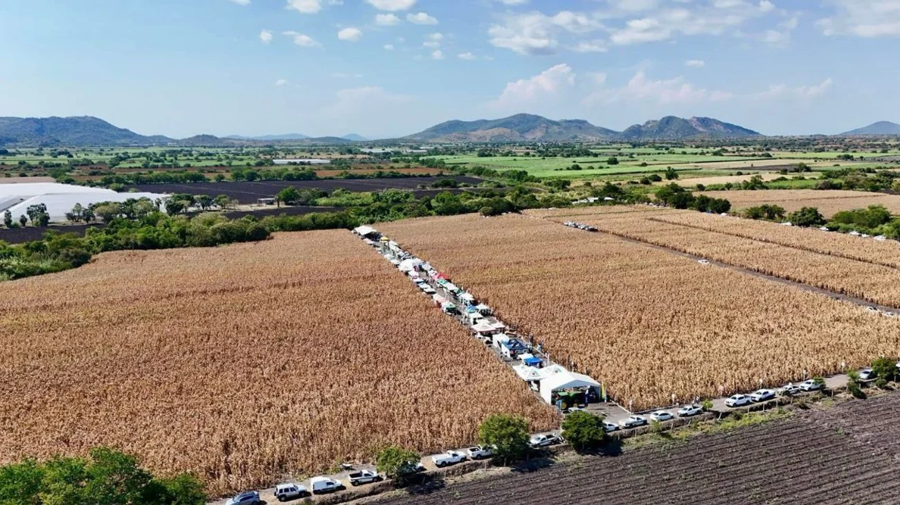 Trabajadores de la Narro deciden no estallar la huelga