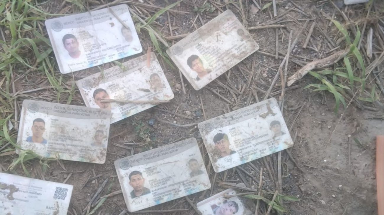 Colectivo rastrea identidad de dueños de credenciales