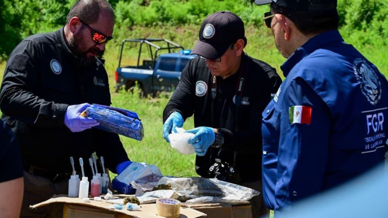 FGR incinera casi una tonelada de droga en Sinaloa