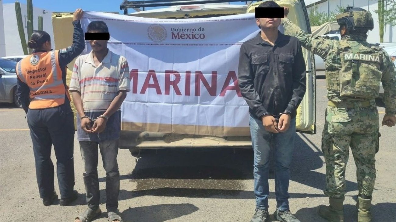 Caen dos personas con marisco prohibido y droga