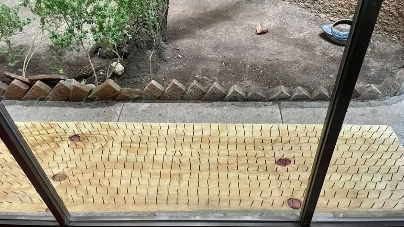 Alerta en San Pedro Garza García por supuestas `trampas antiosos´