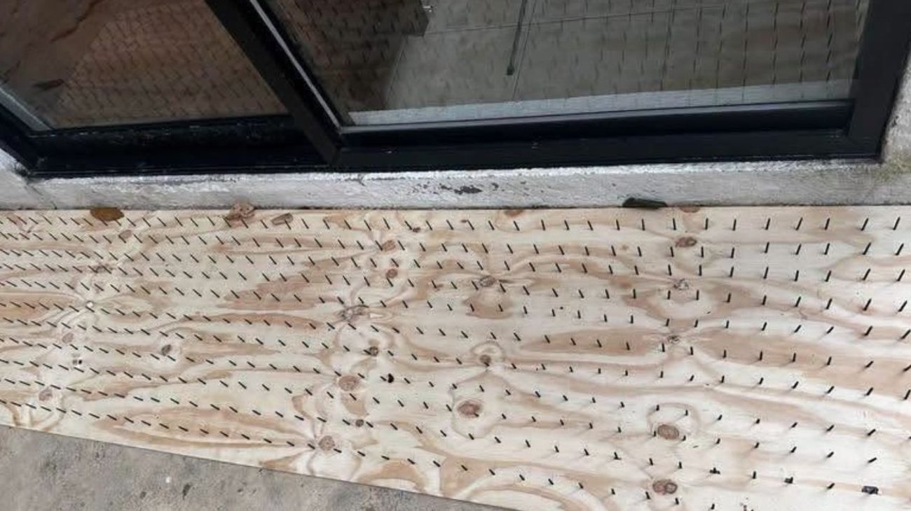 Condenan uso de tablas con clavos para ahuyentar a osos