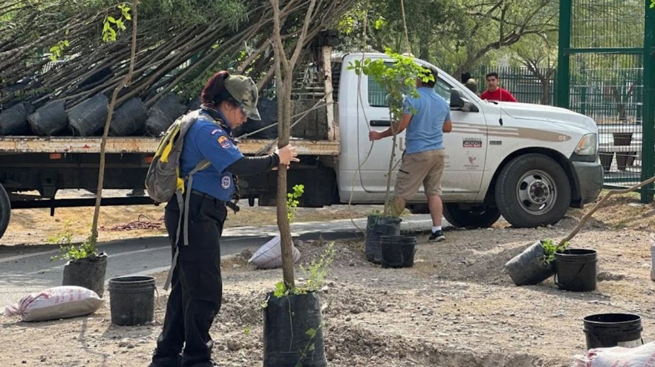 Realizan jornada de forestación en el Parque Lago