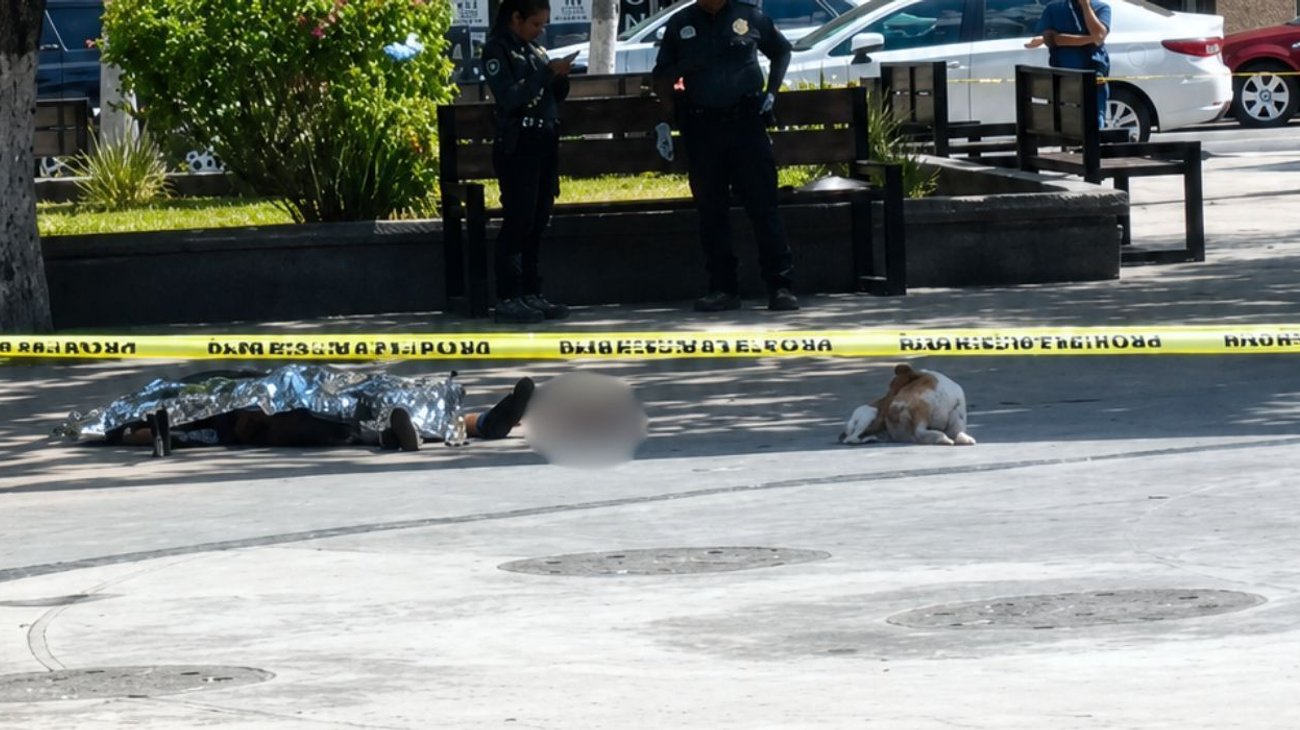 Hombre muere en plaza de Monclova; su perro no se separa de él