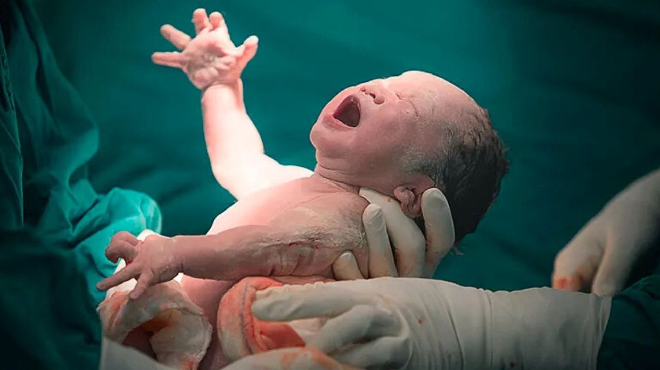 Los nacimientos en México cayeron un 8.5 % en 2024