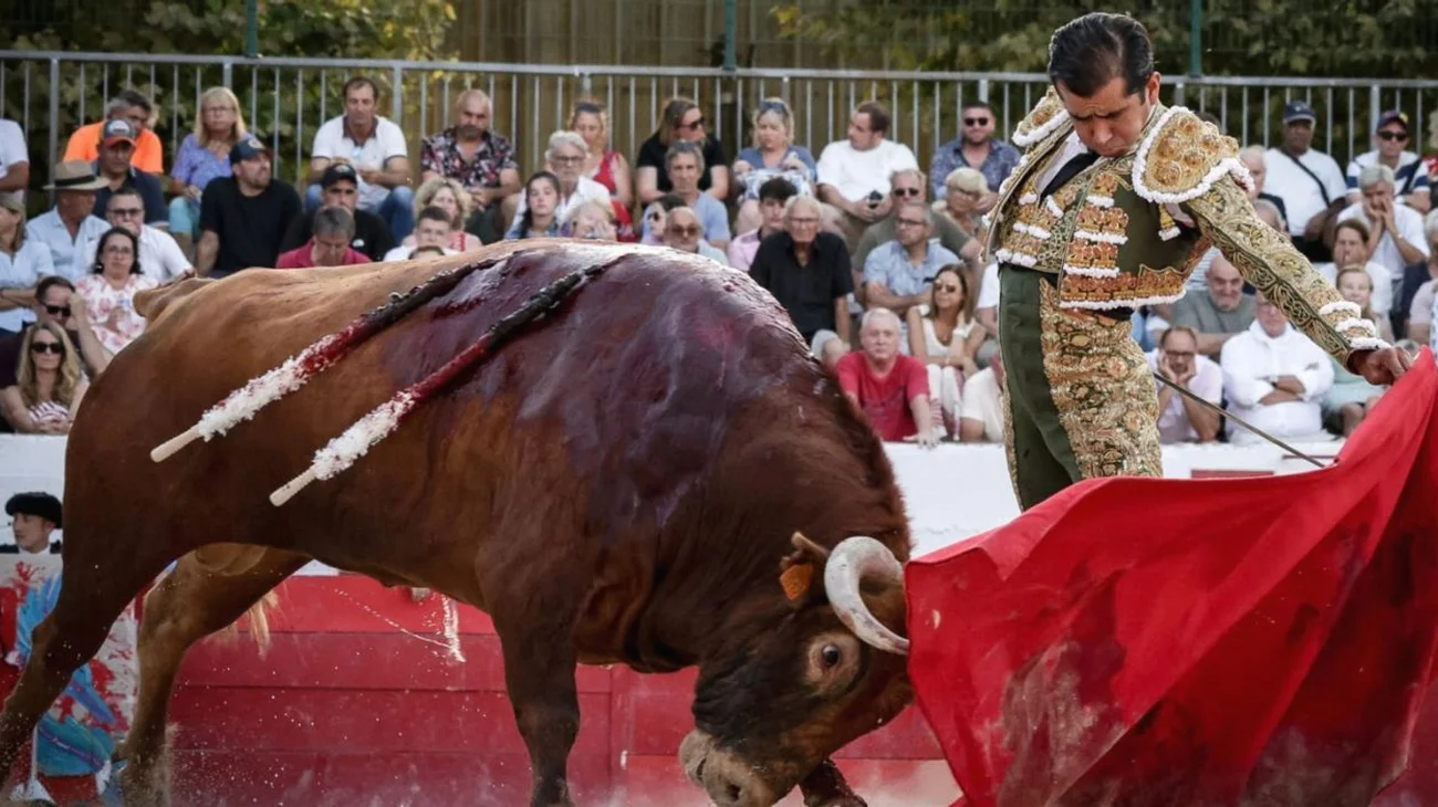 Joselito Adame anuncia su retiro de los ruedos tras 26 años
