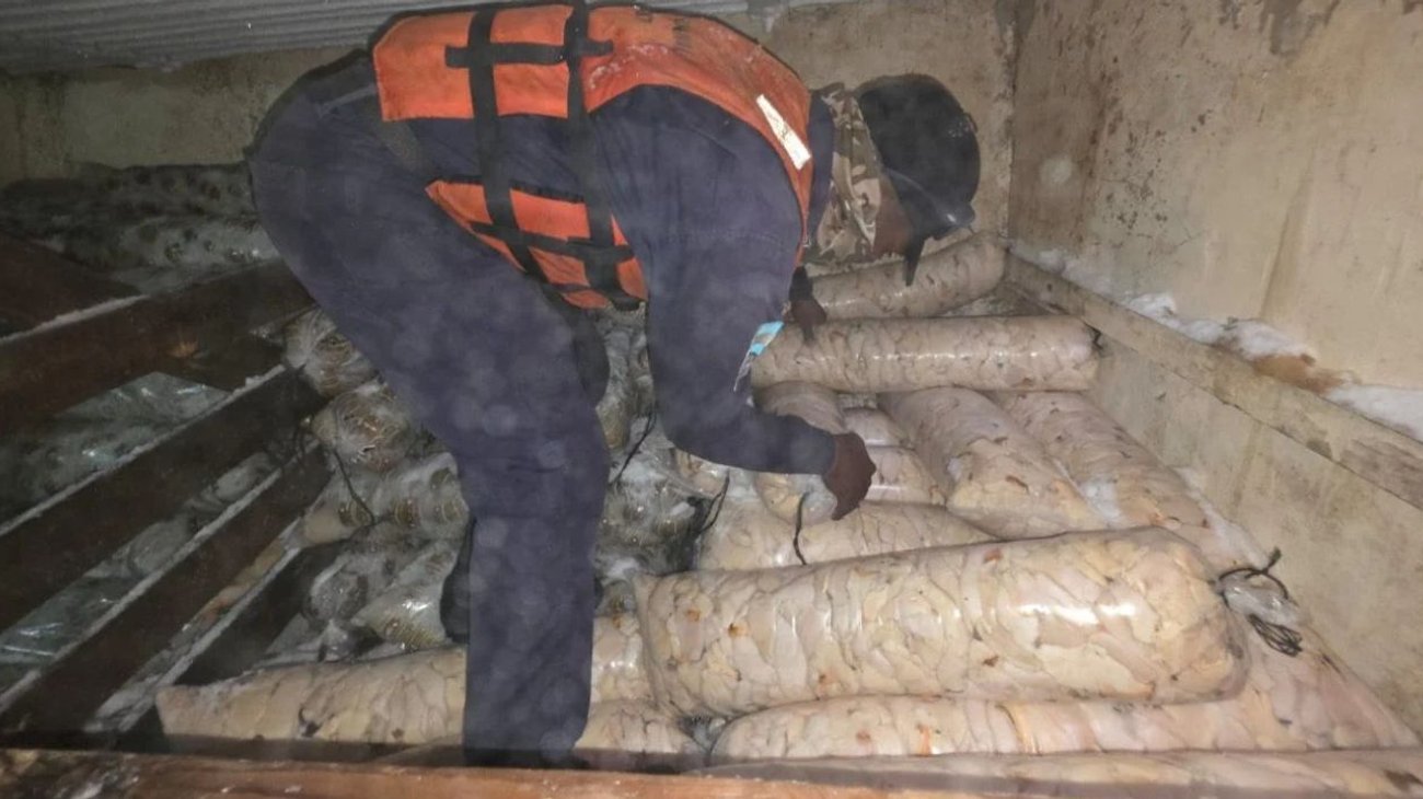Rechazan soborno de 80 mil lempiras y aseguran mariscos