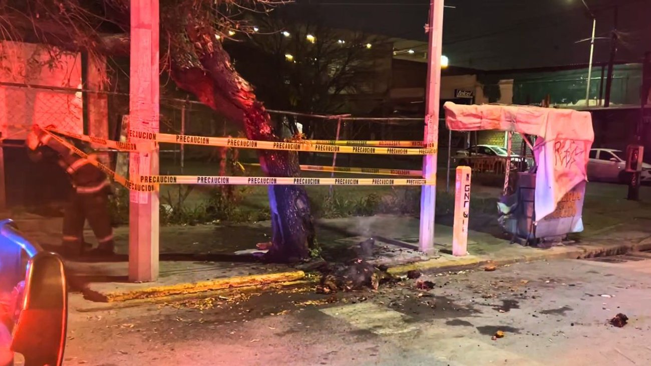 Incendio provocado alcanza un árbol en centro de Monterrey