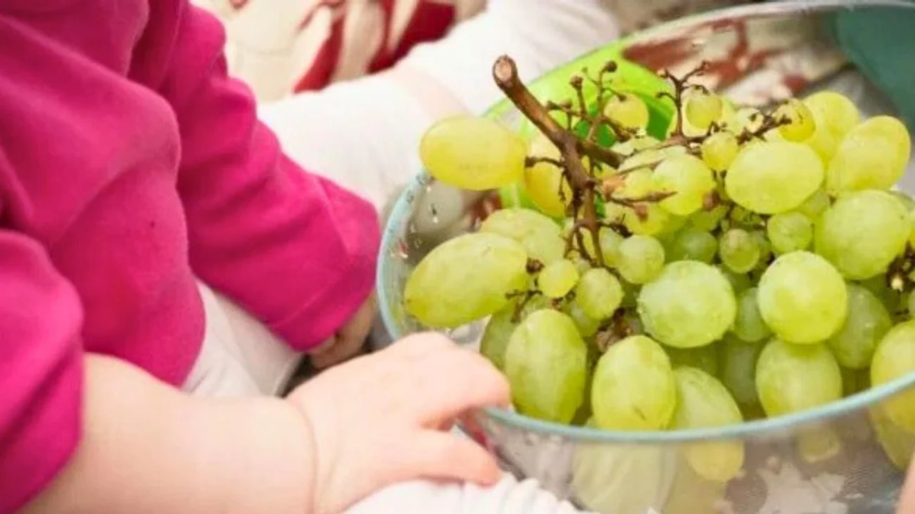 Muere niña de dos años que se atragantó con una uva en Coahuila