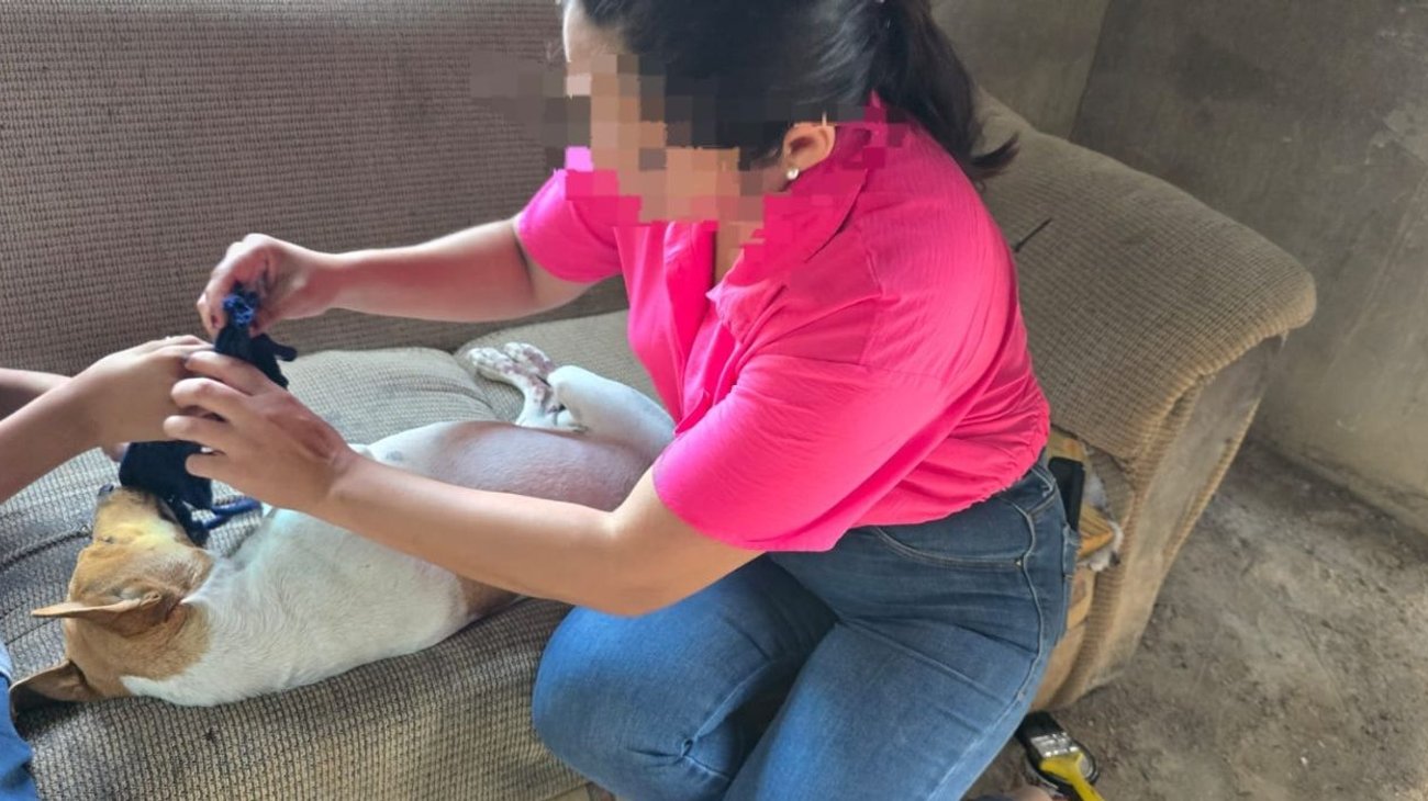 Hombre dispara contra perrita en Montemorelos