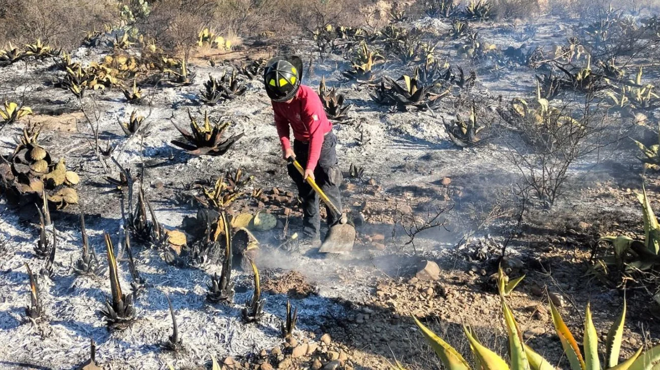 Incendio forestal consume 45 hectáreas en Ramos Arizpe
