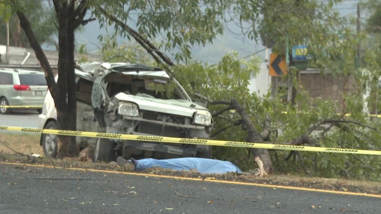 Muere tras estrellarse contra un árbol en la carretera nacional