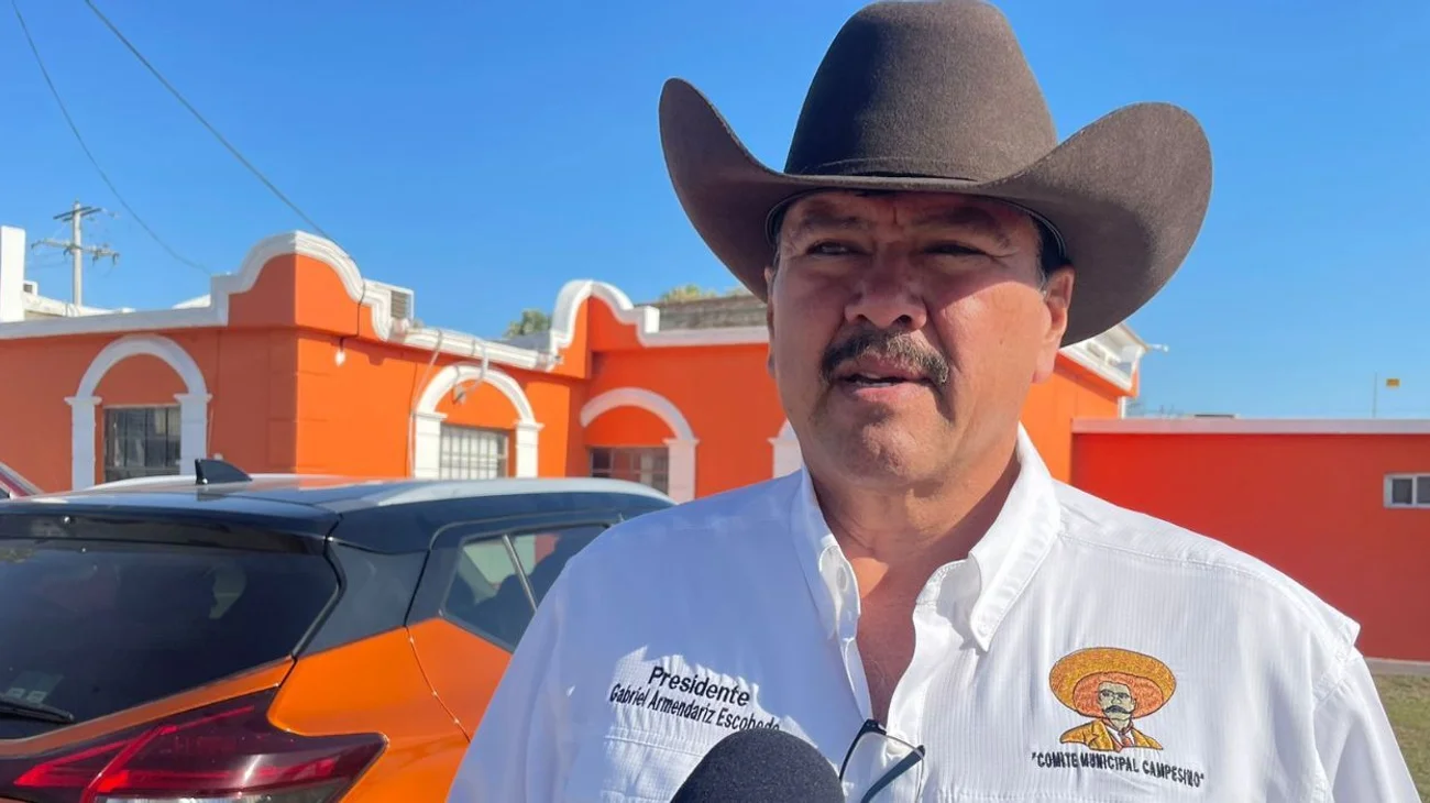 'Crisis en el campo: bajo precio del sorgo y falta de agua'