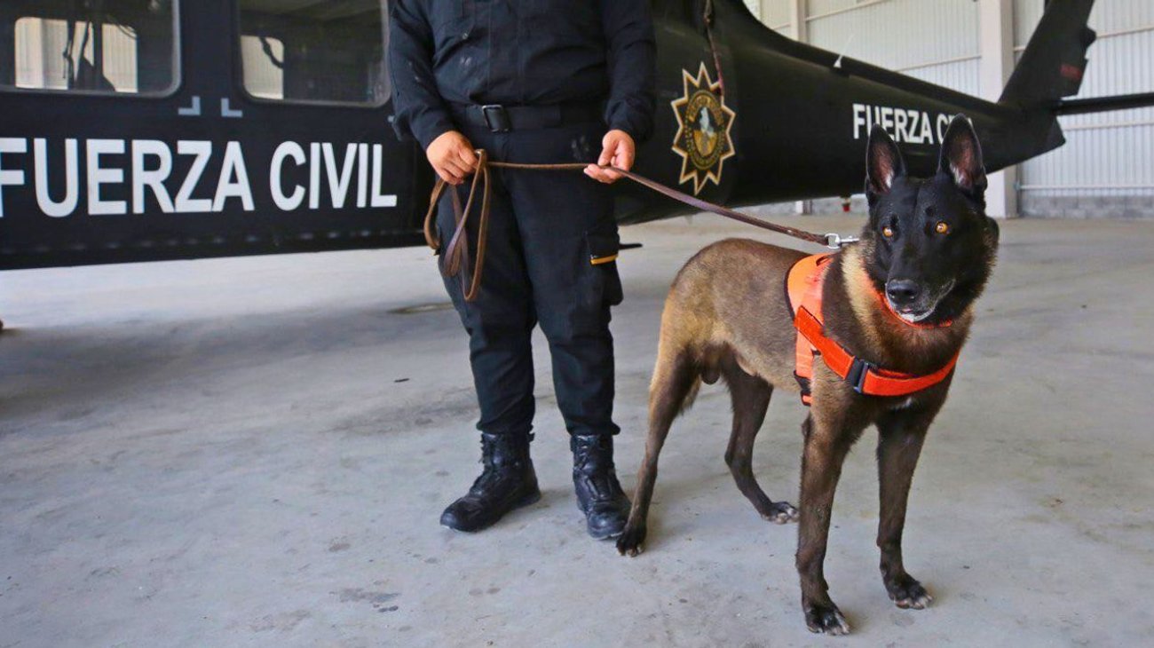 INFO_7_UNA_FOTO_4_695bfbf5bd