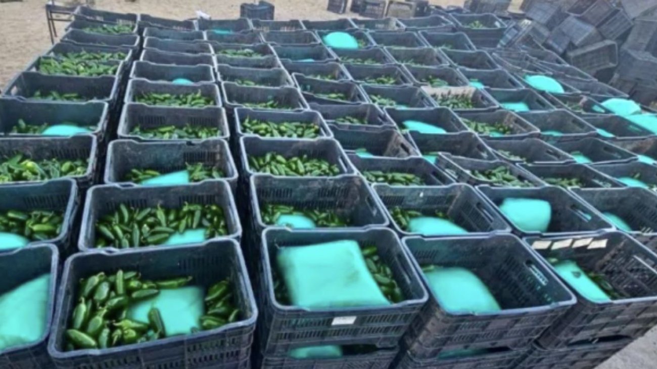 Ejército mexicano halla droga entre cajas de chile en frontera