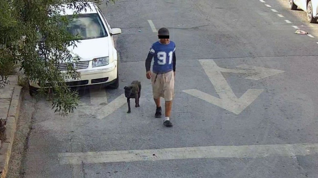 Hombre ordena a sus perros atacar a mujer en Monterrey