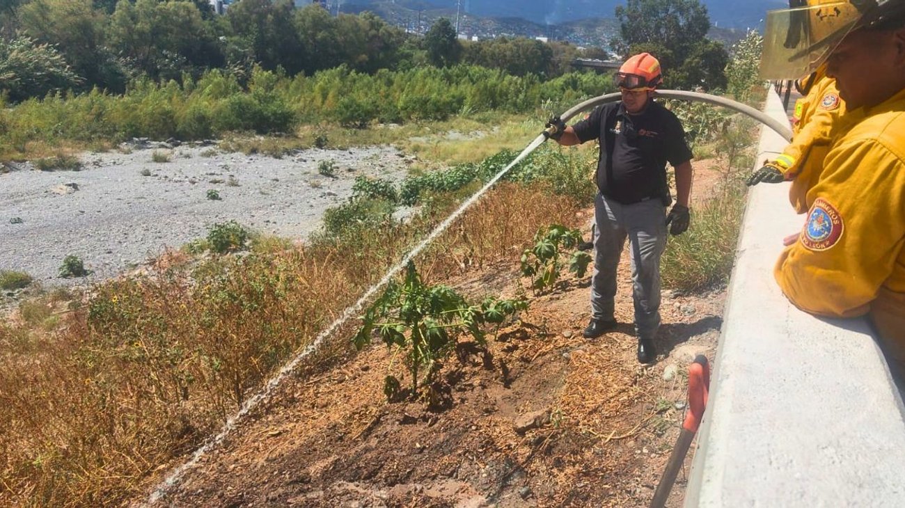 Controlan incendio de maleza en el Río Santa Catarina
