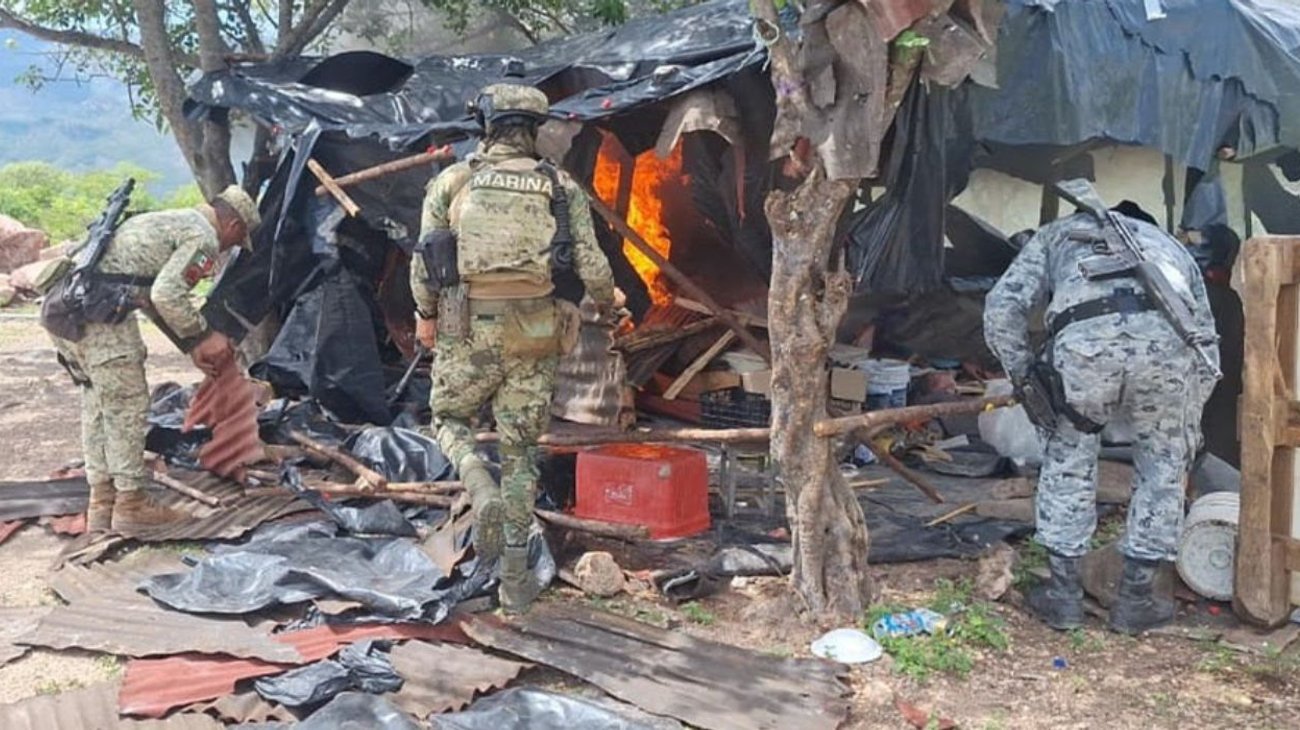 Inhabilitan 11 plantíos de mariguana en La Yesca, Nayarit