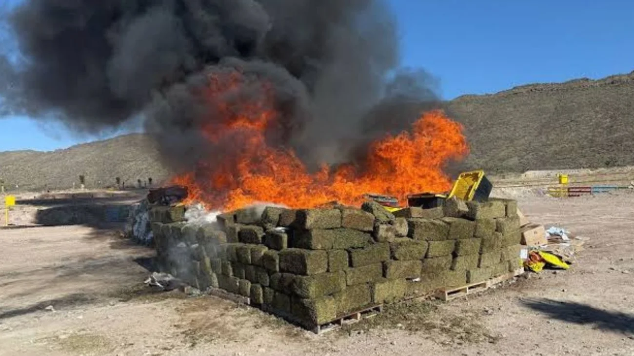 Asegura FGR 12 mdp y destruye 500 kilos de narcóticos en Coahuila