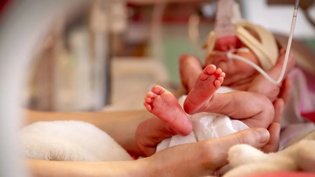 Encuentran plástico en placentas de bebés prematuros