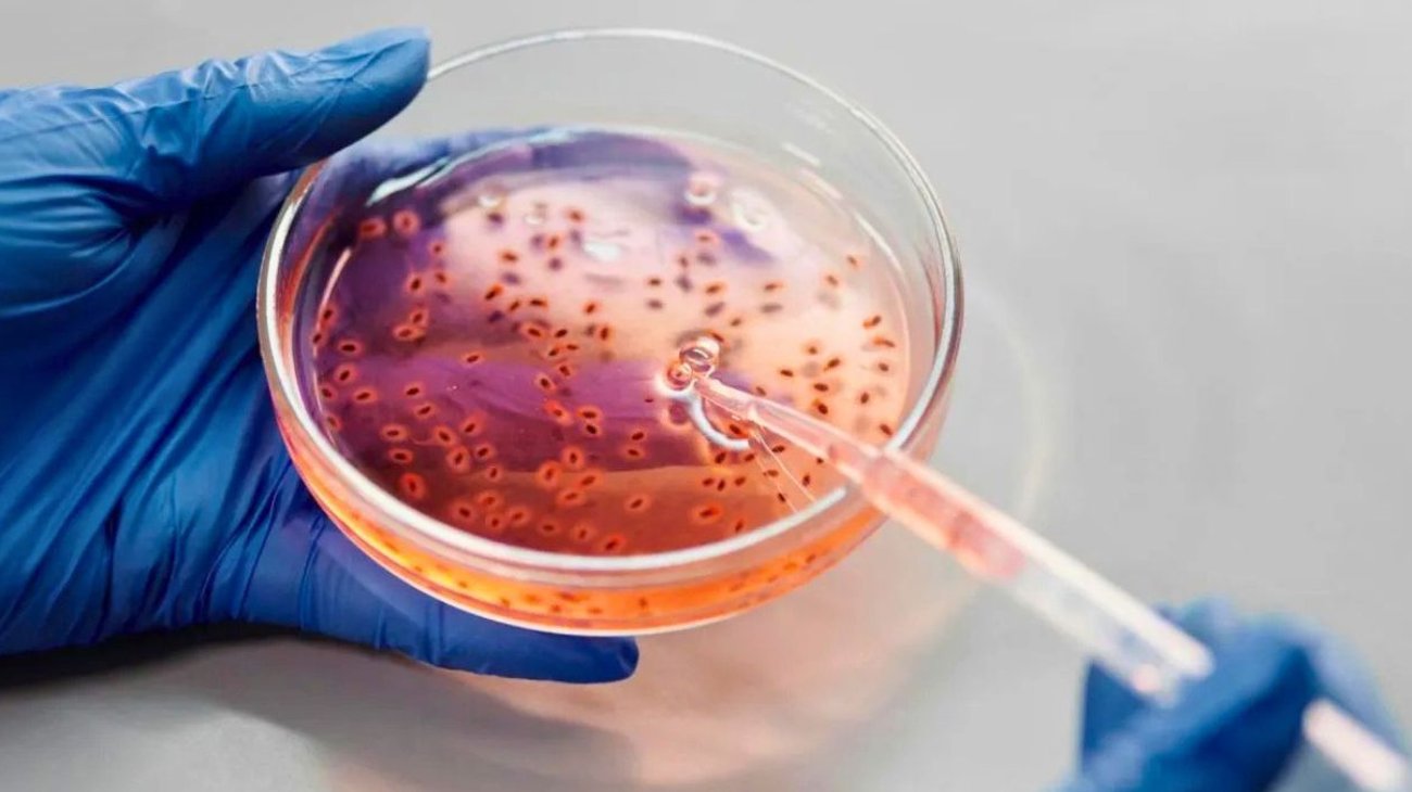 Bacteria 'come carne' deja 12 muertos en Florida y Luisiana