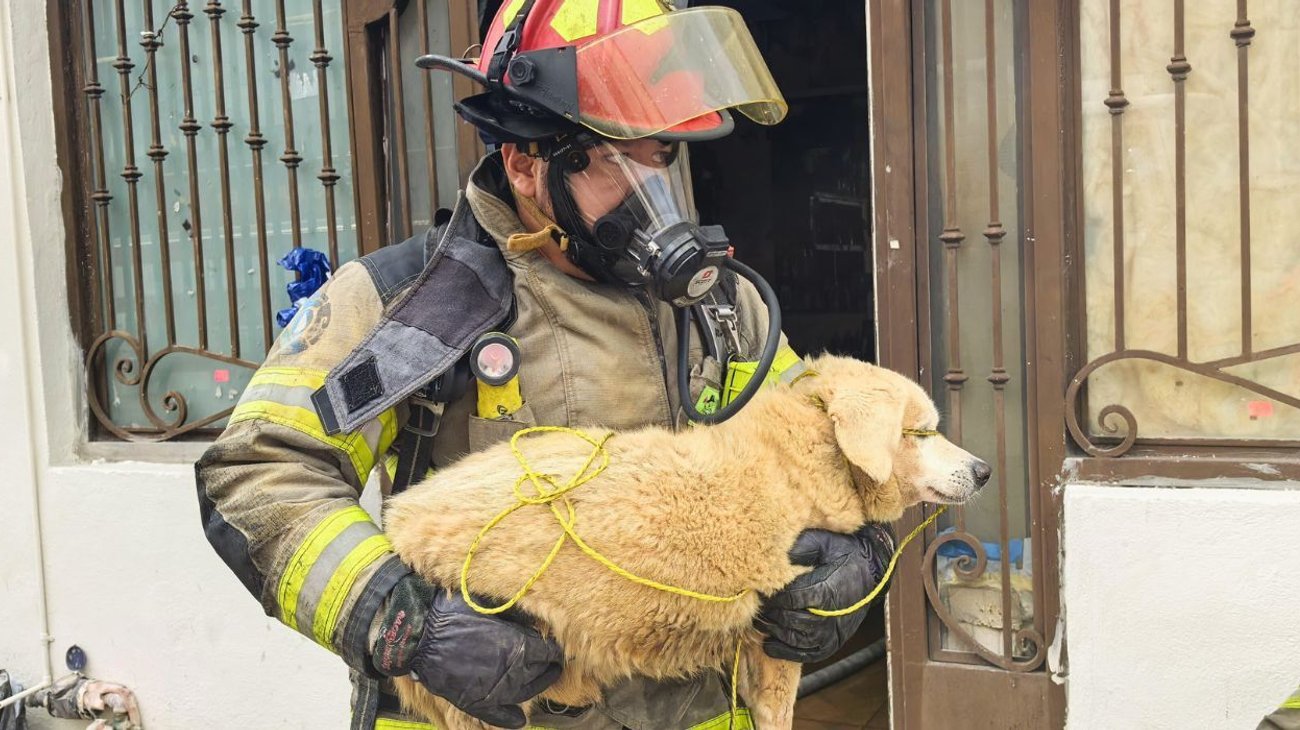 Desalojan a 14 personas por incendio en tejaban de Monterrey