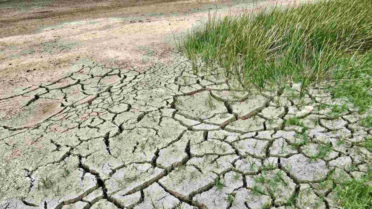 Sufren sequía moderada al norte de Tamaulipas