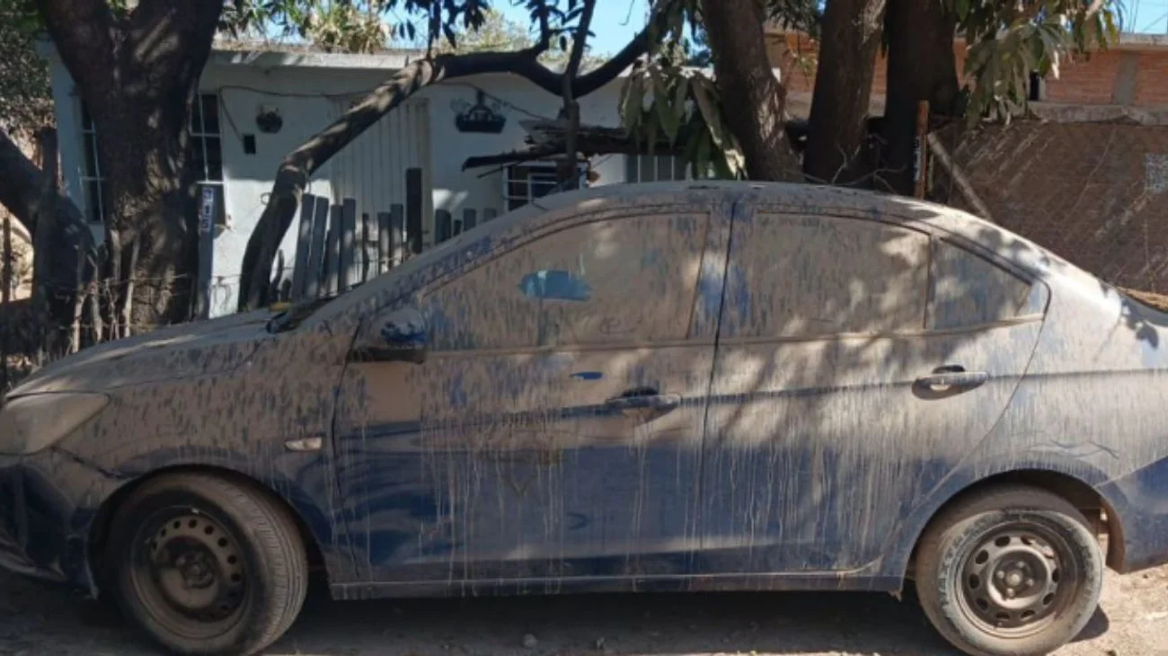 Van por vehículos abandonados en todo el estado