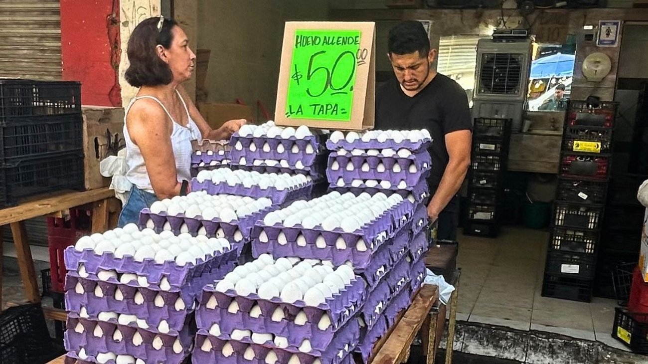 Reportan aumento del precio del huevo en Nuevo León 