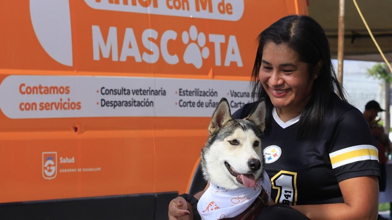 Tendrá Guadalupe nuevo reglamento para la protección de animales