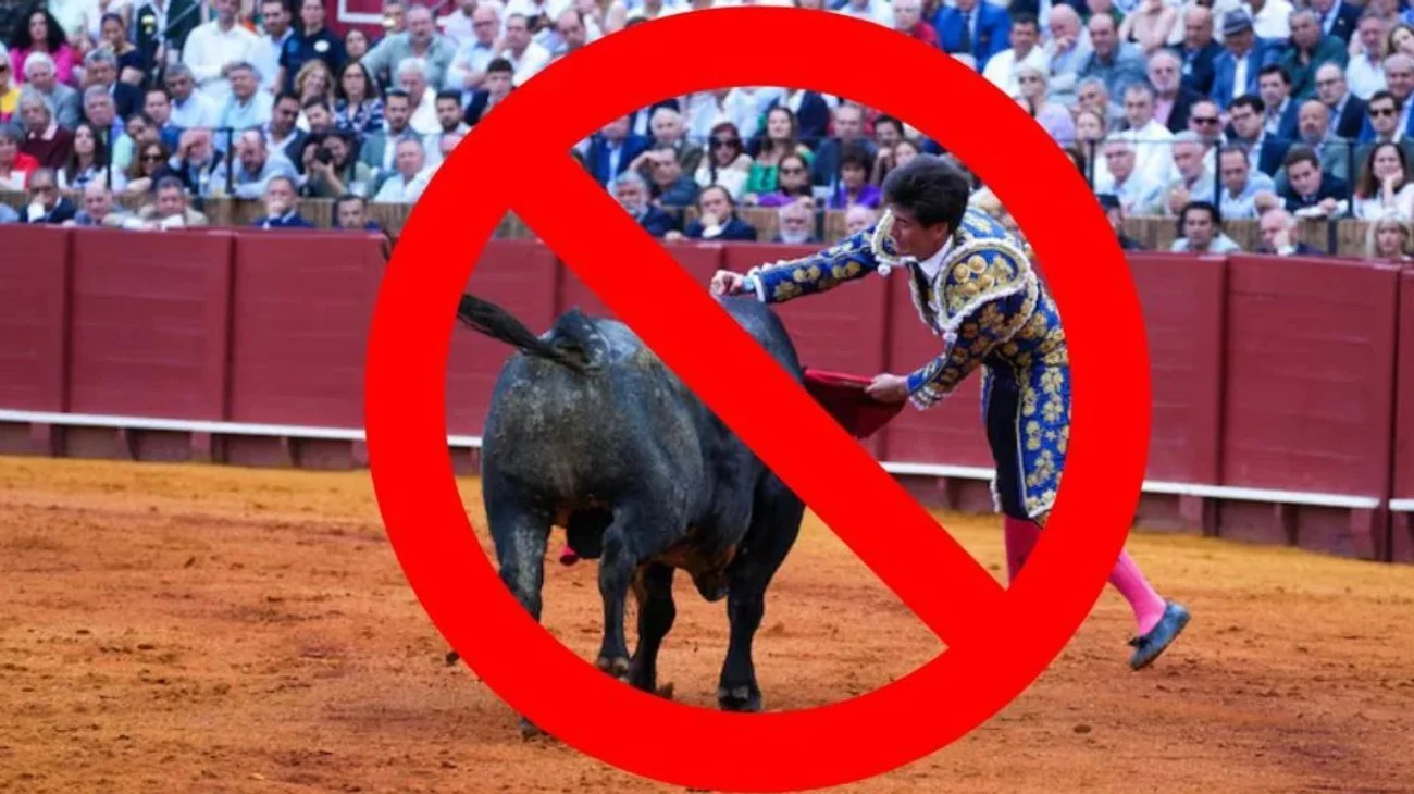 Michoacán prohíbe tauromaquia y eventos violentos con animales
