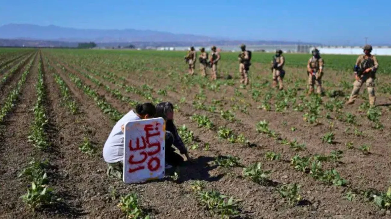 México atiende a connacionales tras redadas de ICE en California