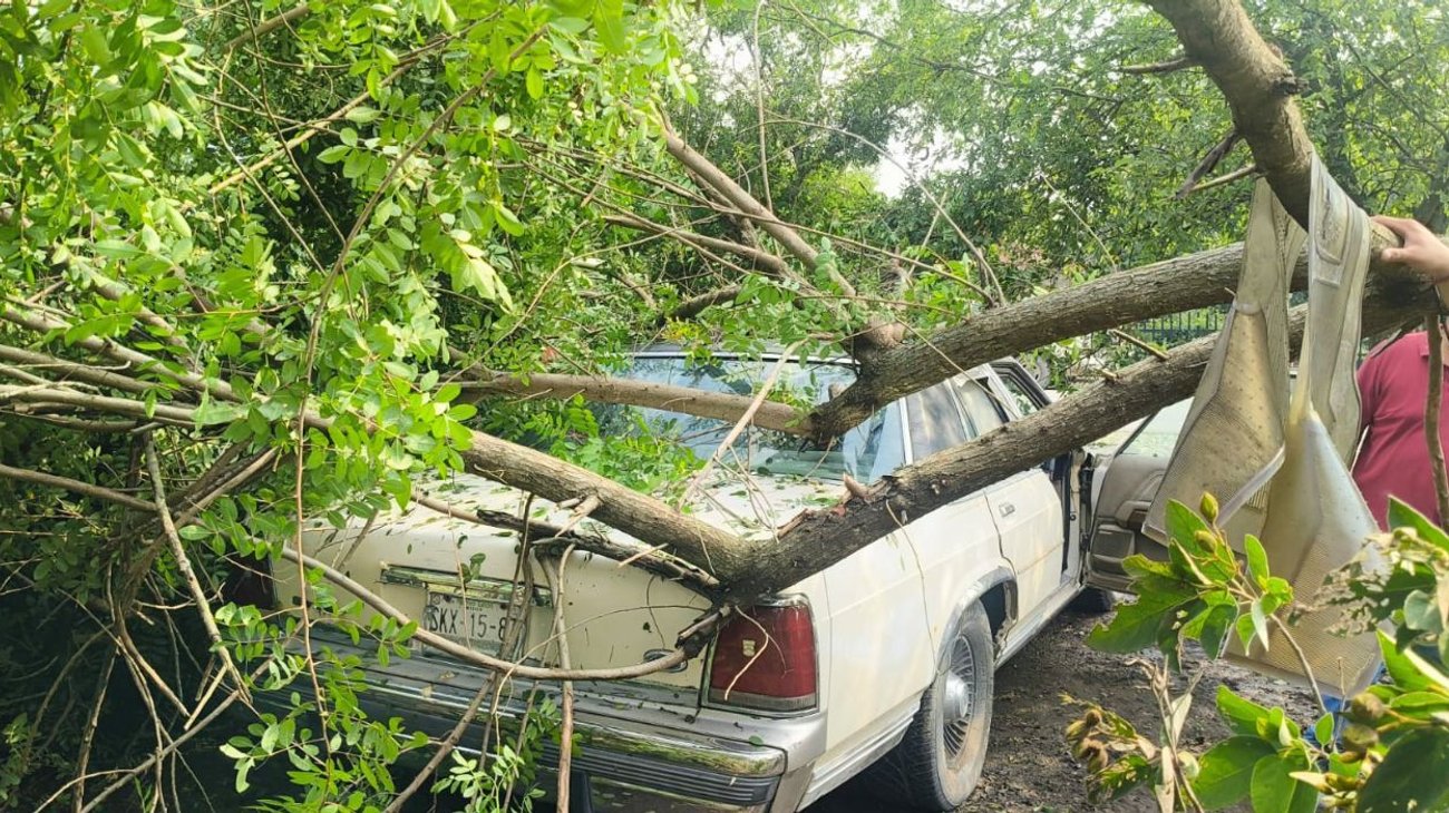 Vientos, lluvias y granizo dejan afectaciones en General Terán