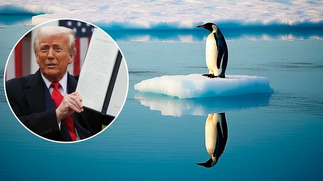 Trump pone aranceles a isla habitada por pingüinos y sin humanos