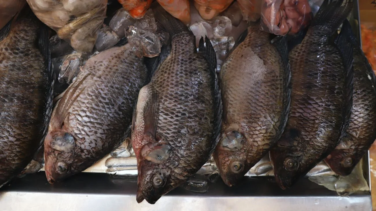 Supervisa Salud establecimientos de venta de mariscos