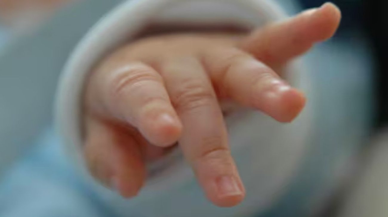 Muere bebé recién nacida tras ataque de perro en Michigan, EUA